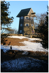 Off-Season Driving in Martha's Vineyard