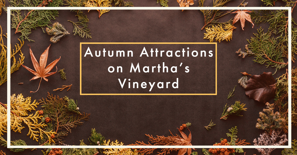 Autumn Attractions on Martha’s Vineyard