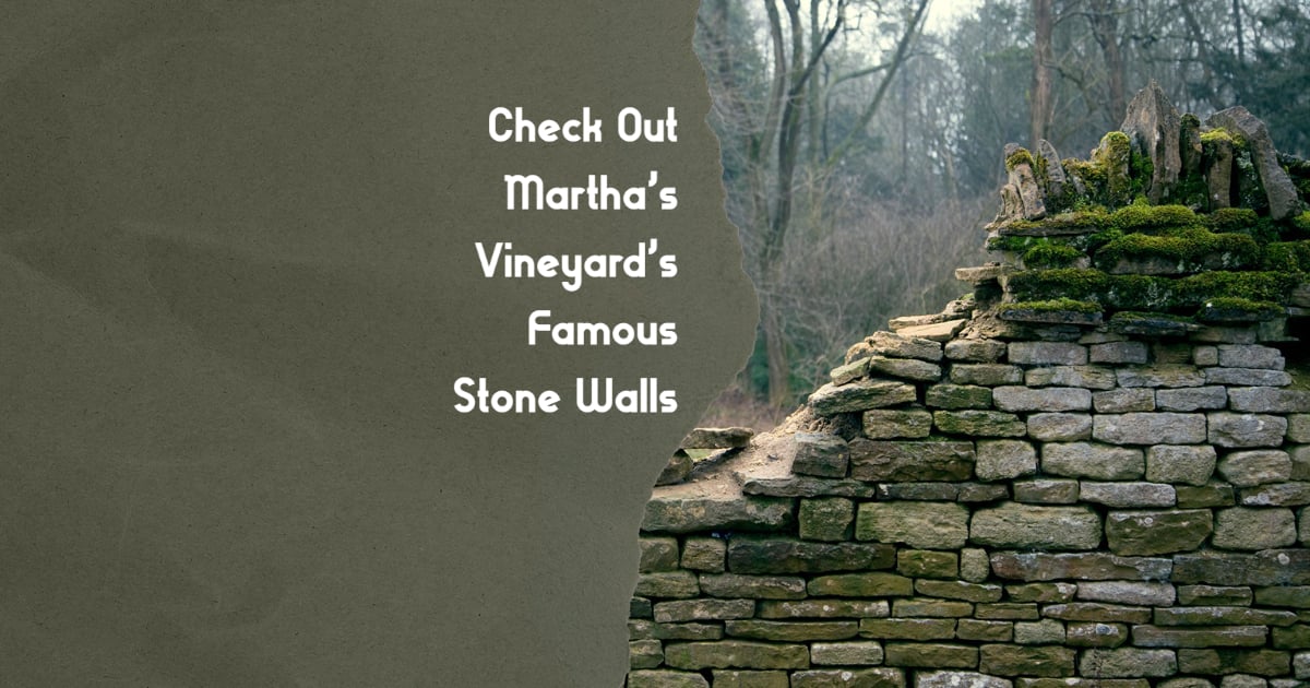 If you’re traveling to Martha’s Vineyard during the busy season or even in the off season, then you need to visit Martha’s Vineyard’s famous stone walls. 