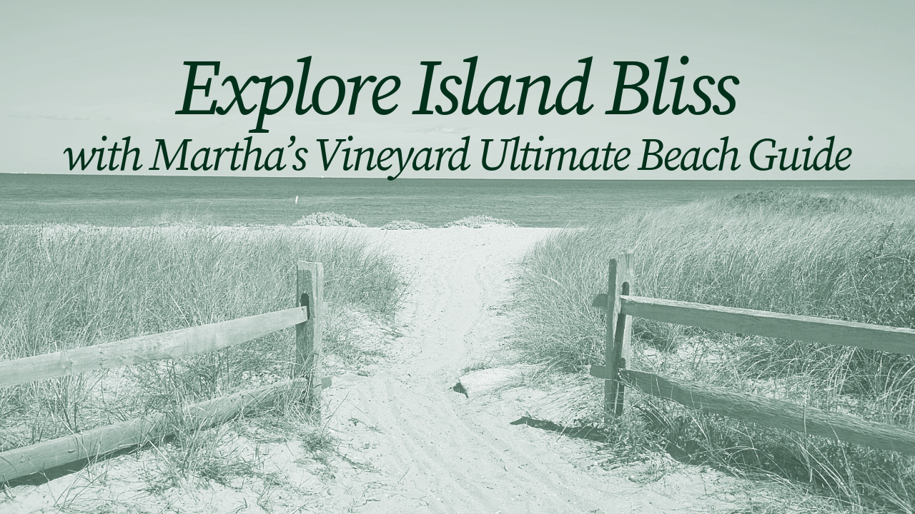 Explore Island Bliss with Martha’s Vineyard Ultimate Beach Guide