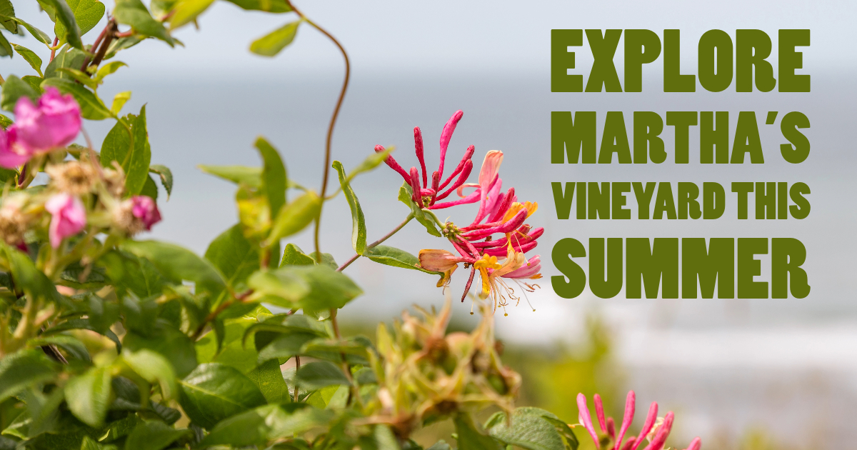 Explore Martha’s Vineyard This Summer