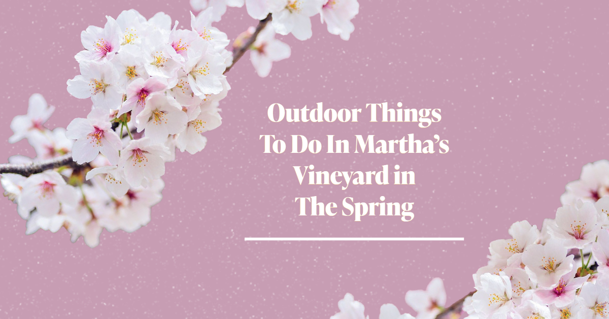 Outdoor Things To Do In Martha’s Vineyard in The Spring