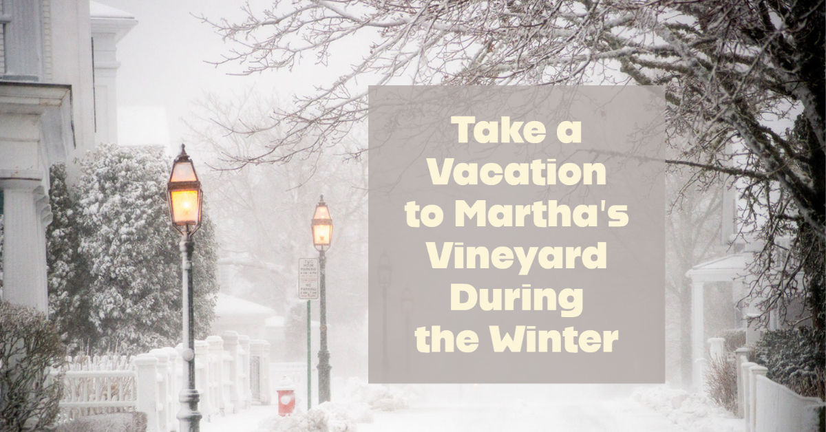 Take a Vacation to Martha’s Vineyard During the Winter