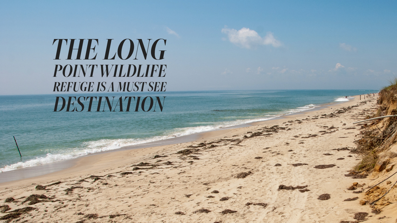 The Long Point Wildlife Refuge is a Must See Destination