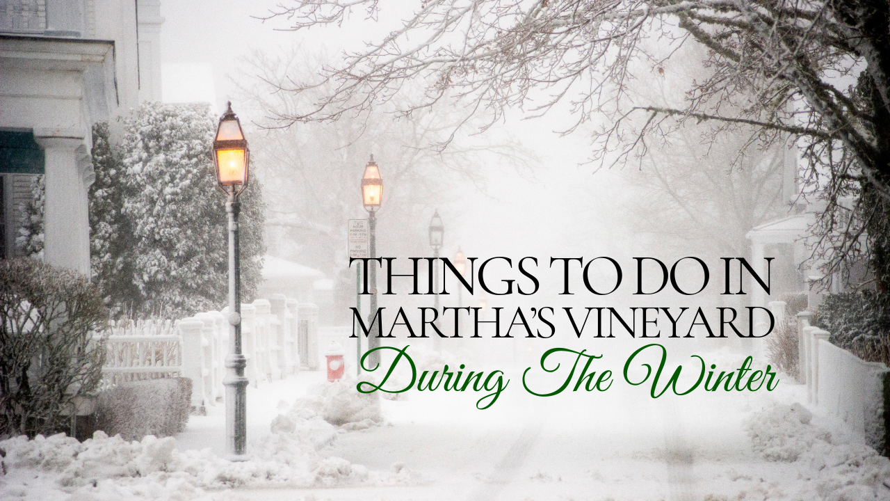Things To Do In Martha’s Vineyard During The Winter