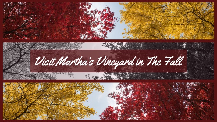 Visit Martha’s Vineyard in The Fall