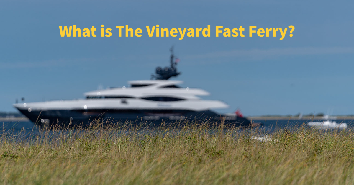 What is The Vineyard Fast Ferry